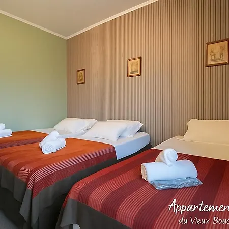 Apartment Magnifique Du Vieux Boucher 3 A *