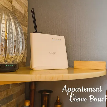 Magnifique Du Vieux Boucher 3 A Apartment *